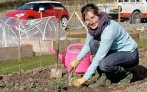 Aimee Middlemiss chairman of Hayle allotments busy getting ready for bumper